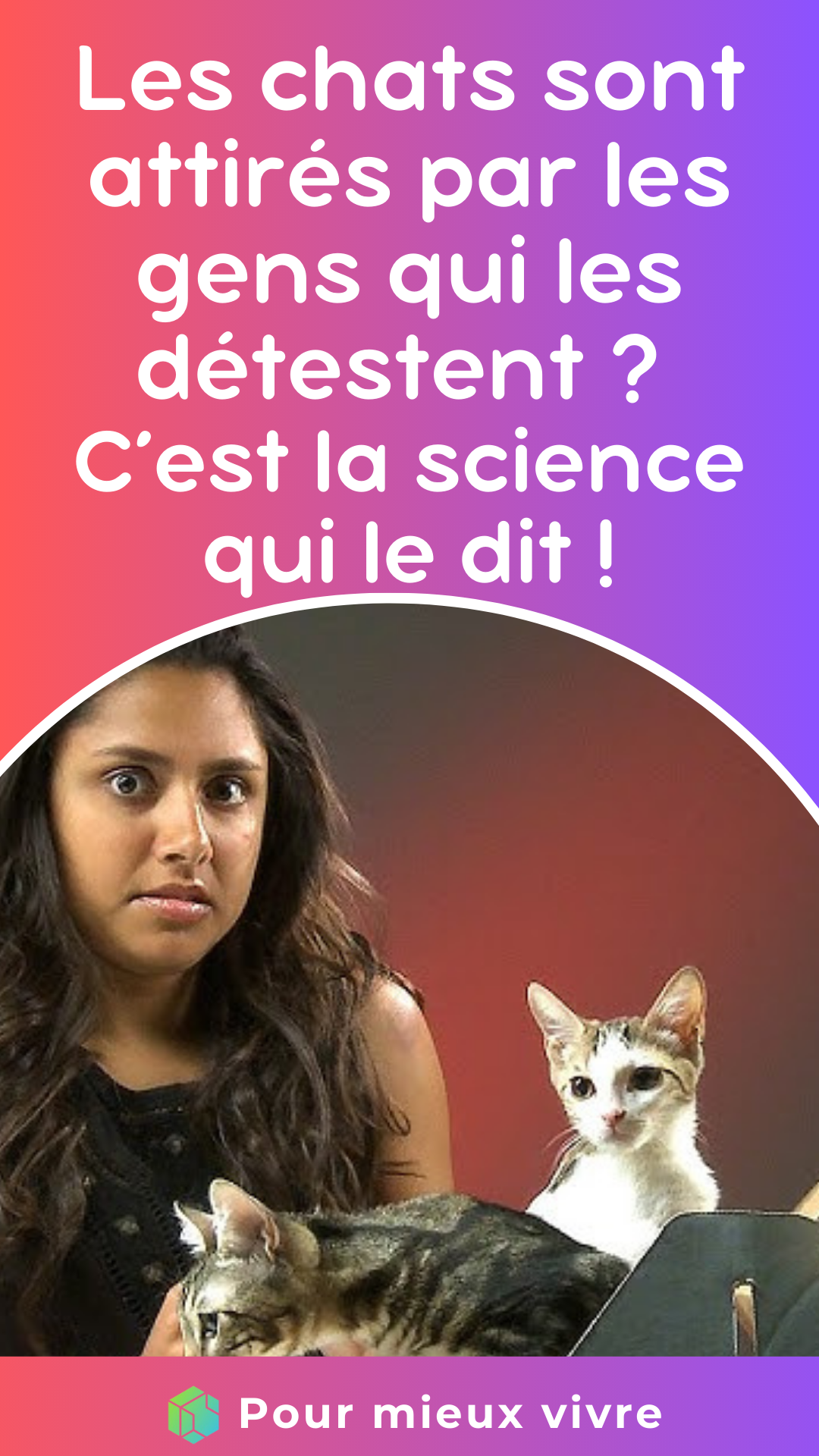 Les chats sont attirés par les gens qui les détestent