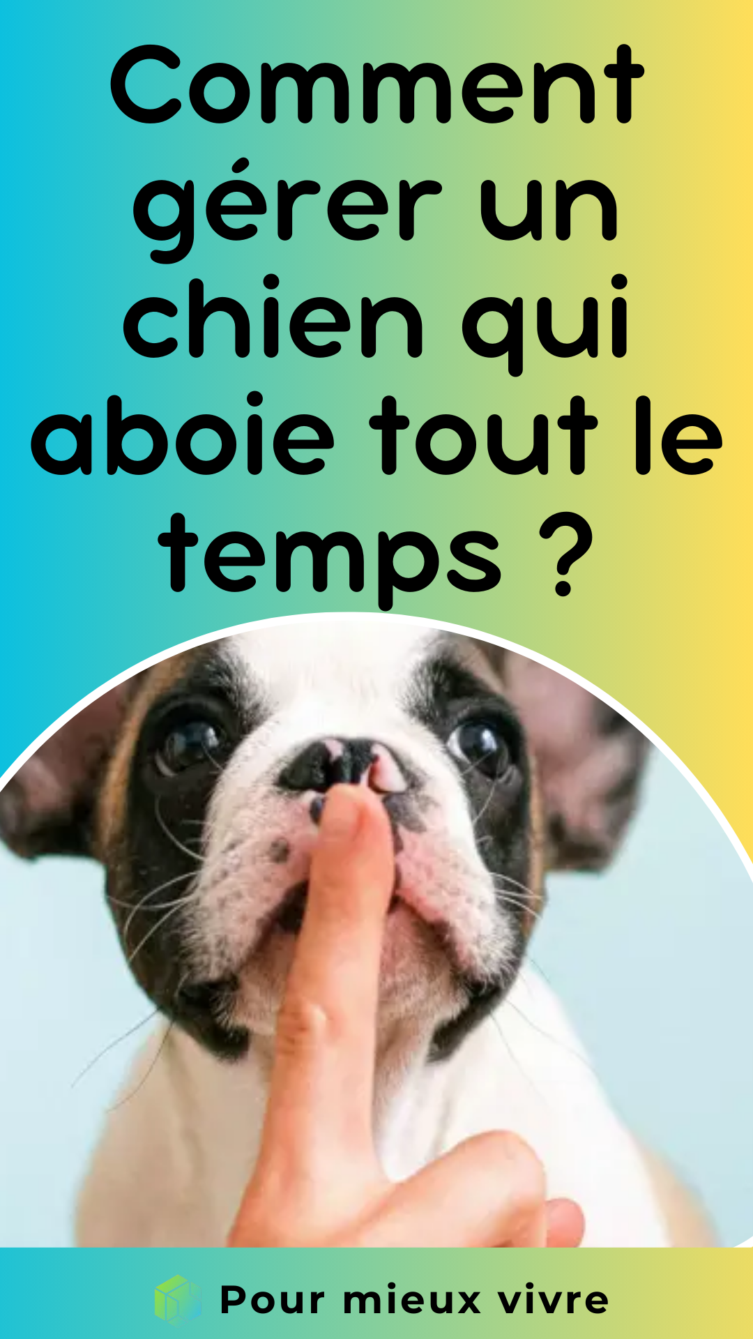 Comment gérer un chien qui aboie tout le temps ?
