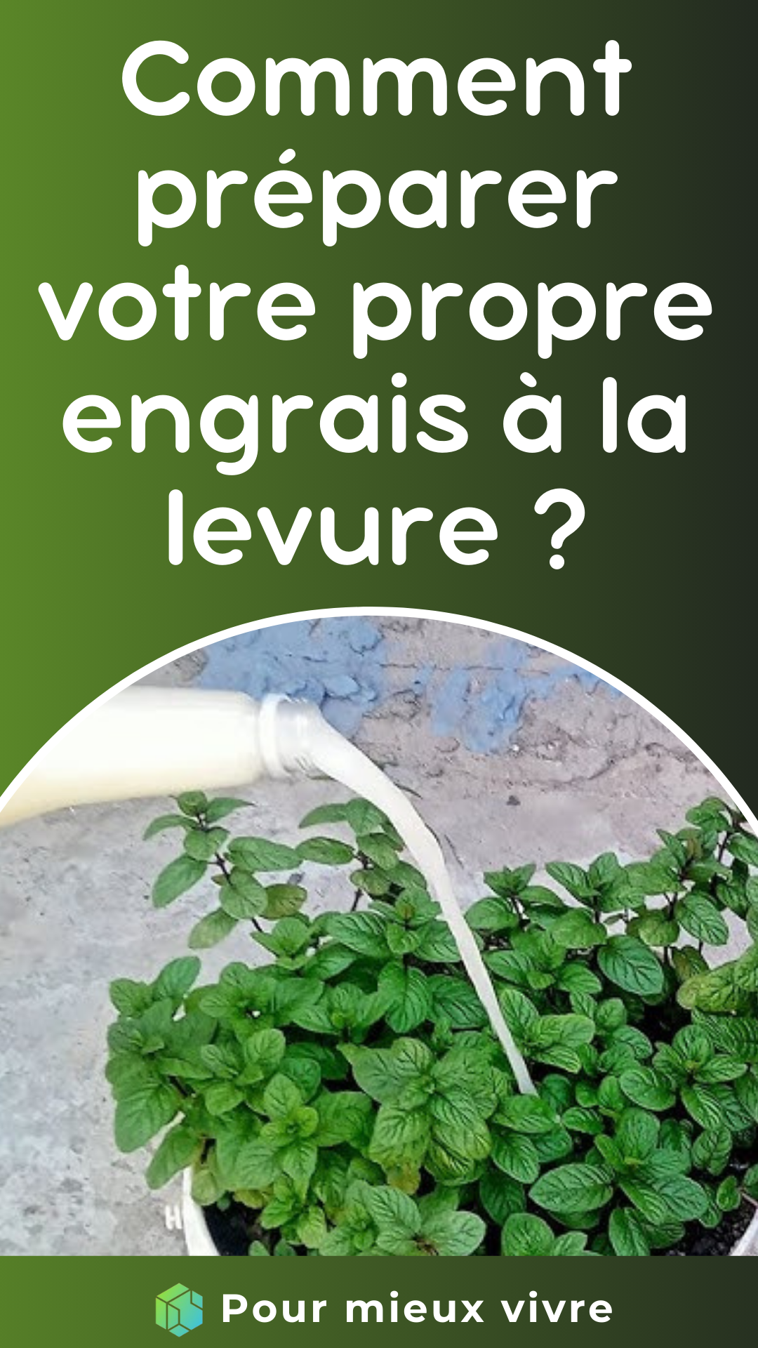 Comment préparer votre propre engrais à la levure ?