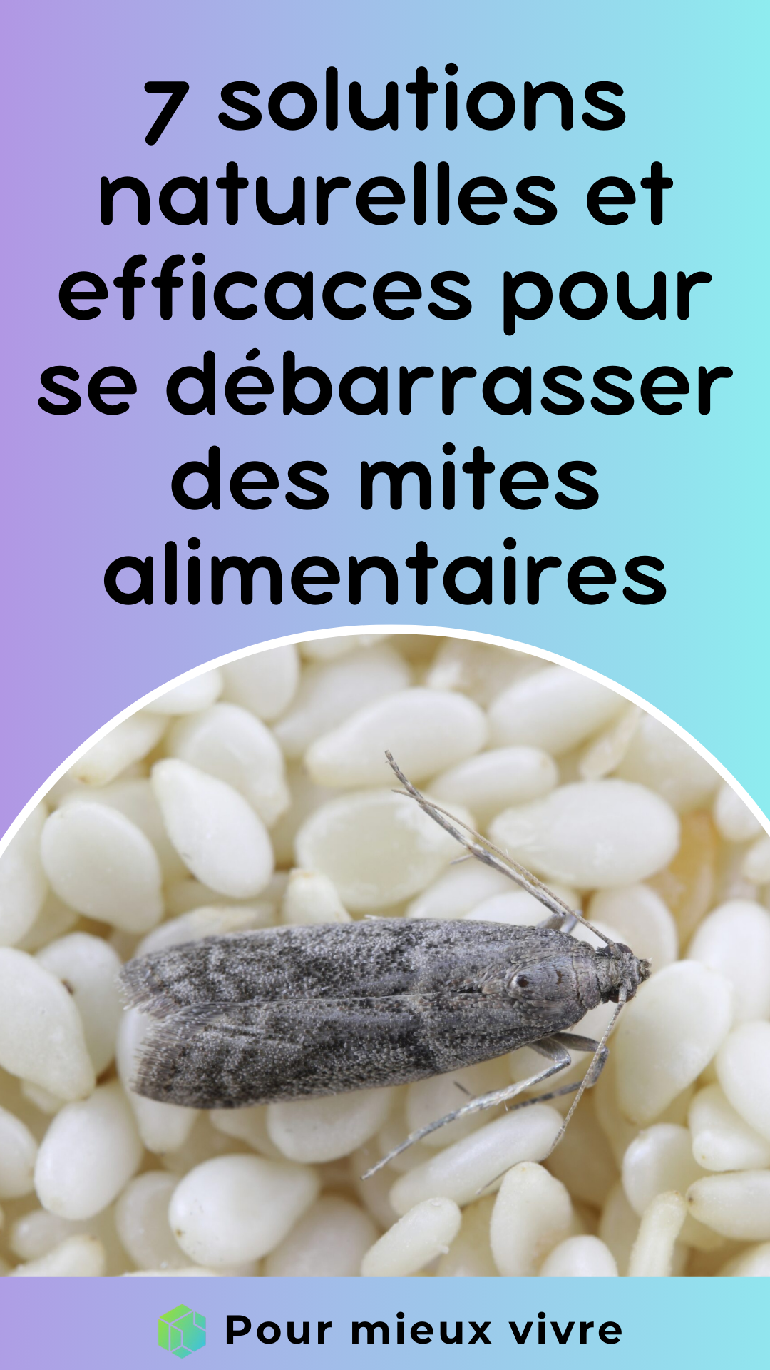 débarrasser des mites alimentaires